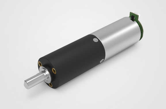 �������ŵ��